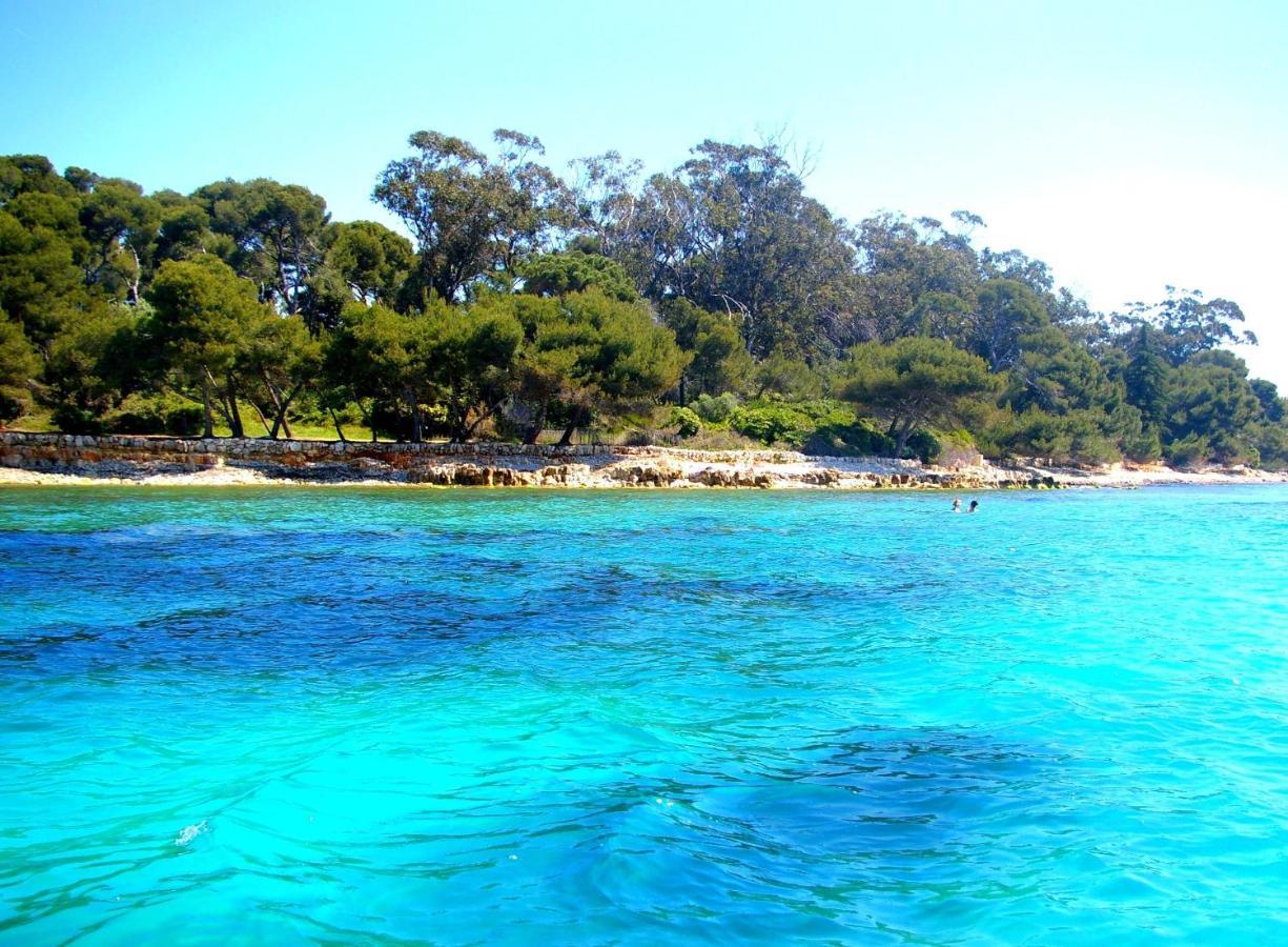 Magnifique "Gite De La Garoupe" Au Cap D'Antibes A 300M Des Plages Ngoại thất bức ảnh
